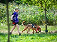 Adoptuj Warszawiaka  Wydarzenie promujące adopcję zwierząt. Organizator: Schronisko dla Bezdomnych Zwierząt "Na Paluchu". 18 sierpnia 2019, Park Raszyński w Raszynie. : park raszyński, adoptuj warszawiaka, na paluchu, schronisko dla zwierząt, centrum warszawy, raszyn